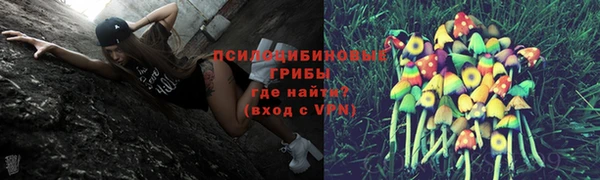 герыч Верхний Тагил